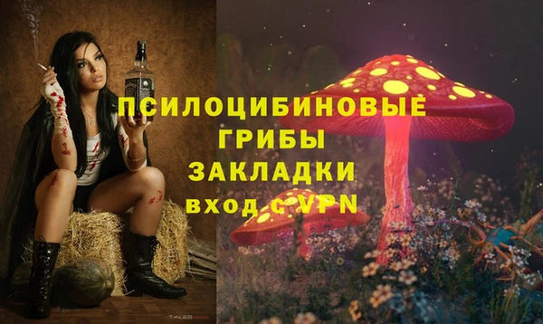 гашик Лихославль