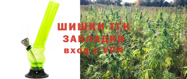 дмт Лиски