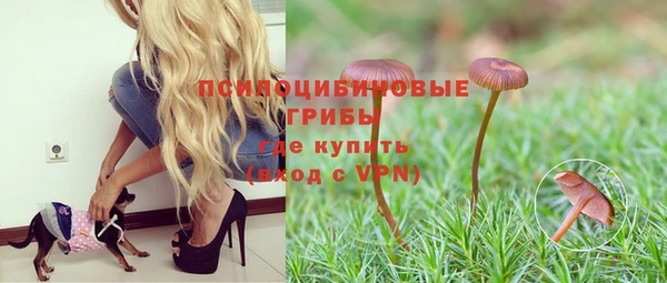 экстази Ладушкин