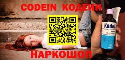 apvp Кингисепп
