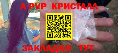 apvp Кингисепп