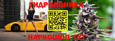 apvp Кингисепп
