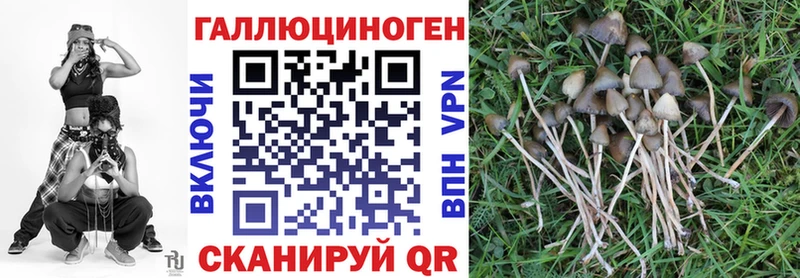 hydra ONION  Миасс  Псилоцибиновые грибы прущие грибы 