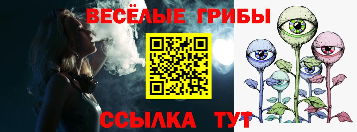 наркота  Миасс  Галлюциногенные грибы прущие грибы 